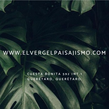 El vergel Paisajismo
