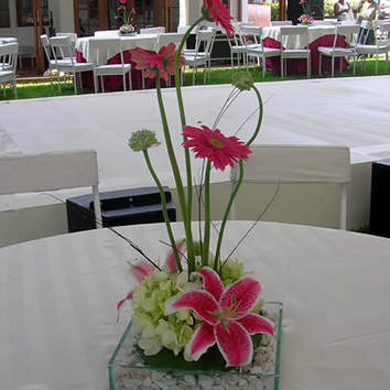 Floristeria Tequendama