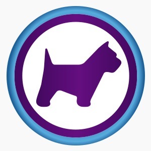Hospital Veterinario PET YOU