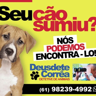 Detetive de animais