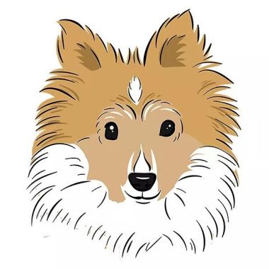 The Collar Club - Dog Walking Adventures