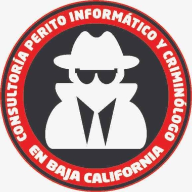 Perito Informático