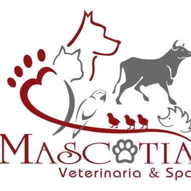 Mascotia Veterinario
