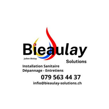 Biolay Julien Bieaulay-Solutioms