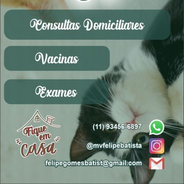 Medico Veterinário Home Care
