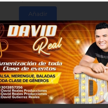 David real