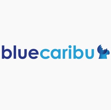 BlueCaribu Google Partners