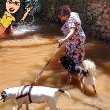 Nina’s Dog Walker