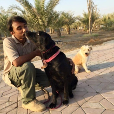 Balance K9 Dog training