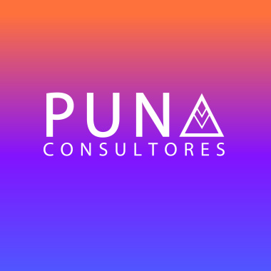 Puna Consultores