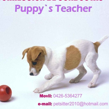 Puppy`s Teacher