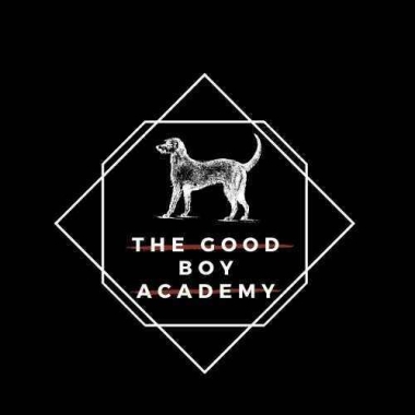 Good Boy Academy