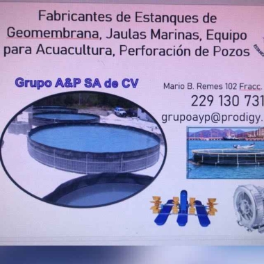 GRUPO A﹠P, S.A. DE C.V.