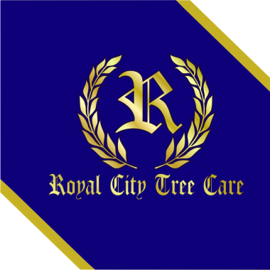 Royal City Tree Care - Guelph Tree Removal / Tree Pruning