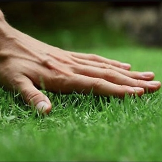All View Lawn Care