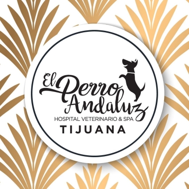 El Perro Andaluz Hospital Veterinario ﹠ Spa