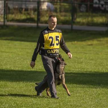 CITYDOG Profesjonalne szkolenia psów
