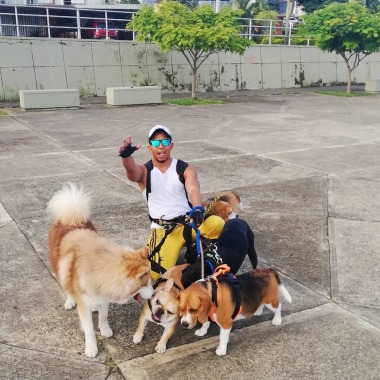 Leandro Ferrer PASEADOR DE PERROS