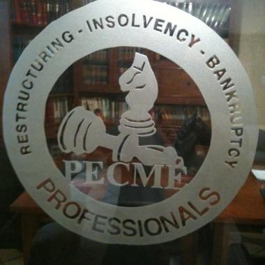 Profesionales Ejecutivos en Concursos Mercantiles,