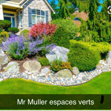 Mr Muller
