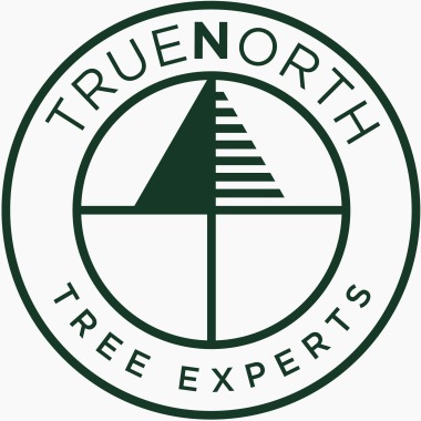 True North Tree Experts
