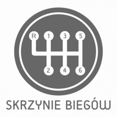 Sprawna Skrzynia Łukasz Wójcicki
