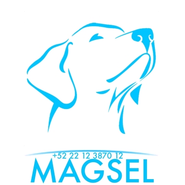 MAGSEL Perros de Servicio Alerta Médica Educación Canina
