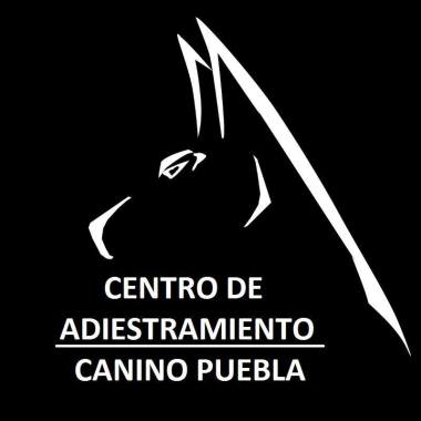 Escuela de adiestramiento camino puebla