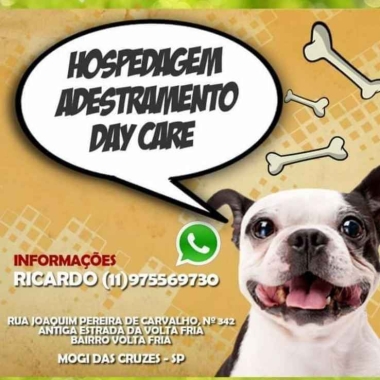 New Dog adestramento e Hotel Canino