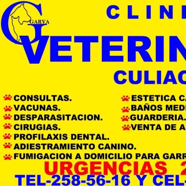 CLÍNICA VETERINARIA CULIACAN