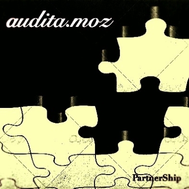 Audita.moz