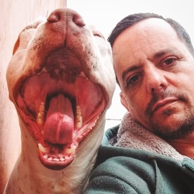 Pitbulllion tobe