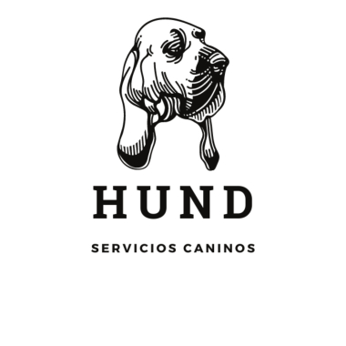 Hund