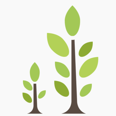 Tree Removal St. Catharines