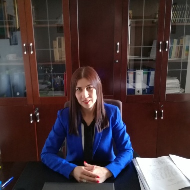 Birou de Mediator Abrudan Ioana