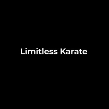 Professional: Limitless Karate