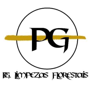 P.G. Serviços
