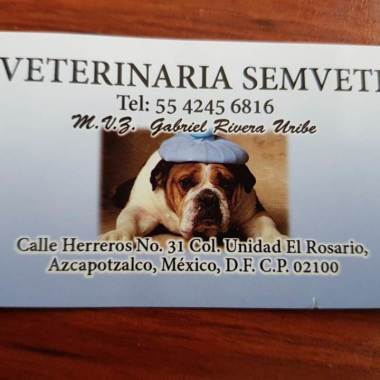 SERVICIO MEDICO VETERINARIO INTEGRAL (SEMVETI)