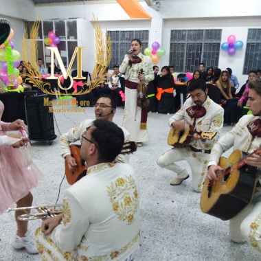 Organizacion musical jf