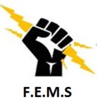F.E.M.S Electromechanical Services