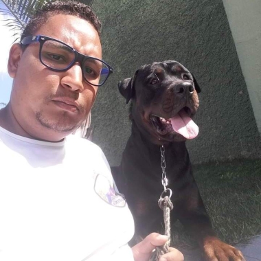 Adestramento de Cães J g