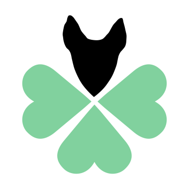 Hund & xund | Hundetraining München
