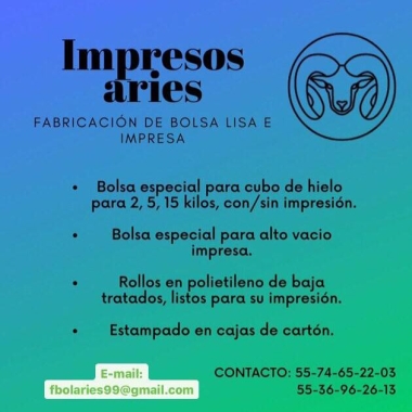 Fabricación de Bolsa Lisa & Impresa