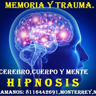 Psicólogo profesional