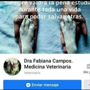 Hospital Veterinario Wilde