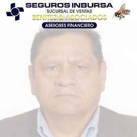 SEGUROS INBURSA BENITEZ ﹠ ASOCIADOS