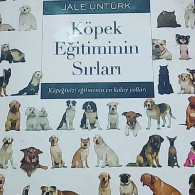 Jale Üntürk
