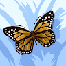 Arshi C