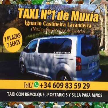 TAXISMUXIA