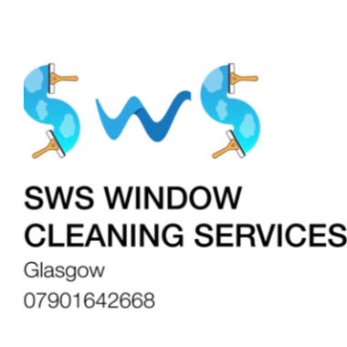 Windows washer professional